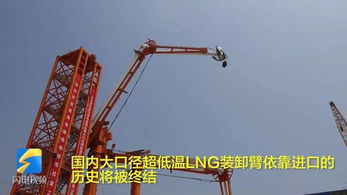 日照終結(jié)進(jìn)口依賴 全國(guó)首臺(tái)自動(dòng)化打包機(jī)實(shí)現(xiàn)國(guó)產(chǎn)化