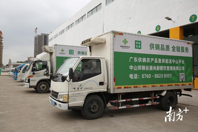 廣東供銷農(nóng)產(chǎn)品直供配送中山服務(wù)中心開(kāi)業(yè)，一站式打包服務(wù)助力農(nóng)產(chǎn)品高效流通