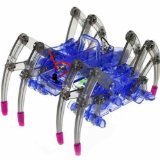 新陽光科教模型組裝玩具 亞馬遜上的STEM啟蒙新寵